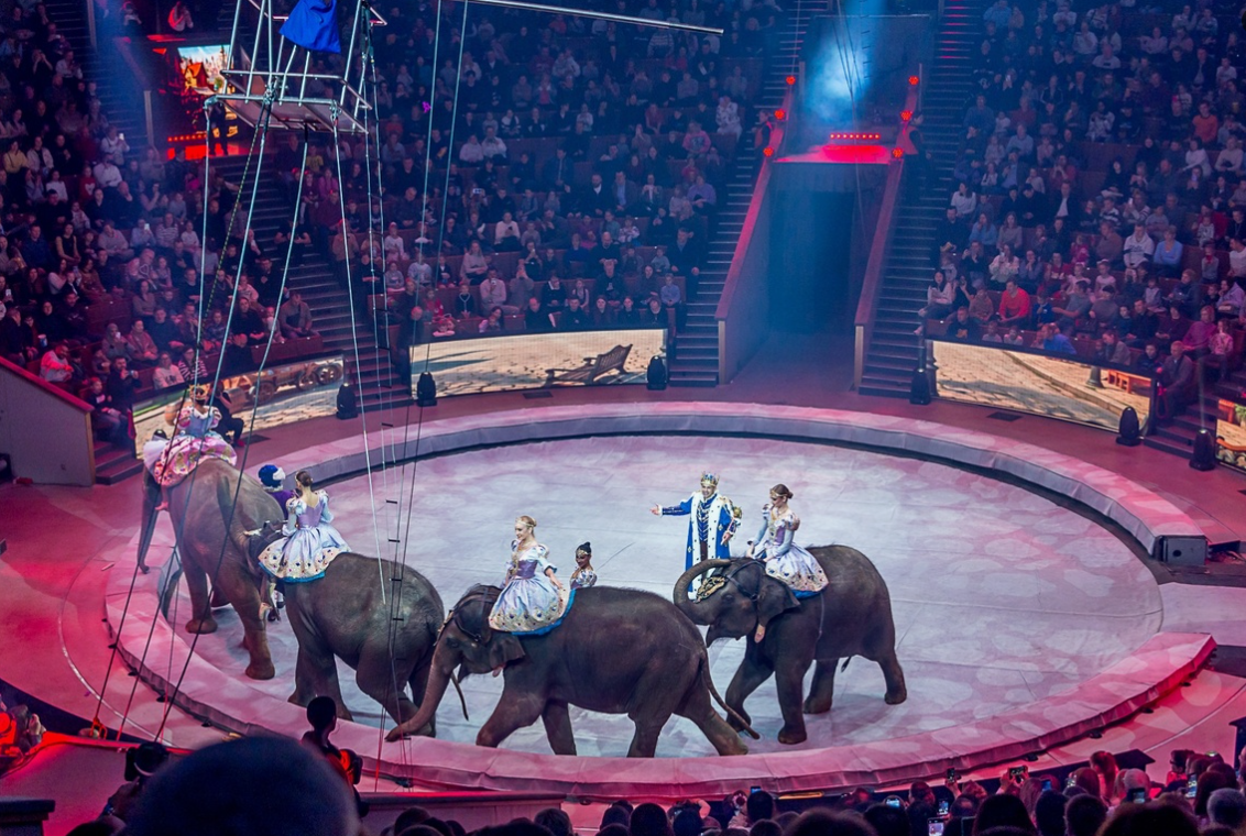 Сказка о Белоснежке и семи гномах